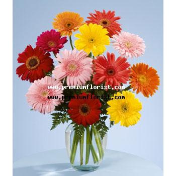 Florerias Floristerias Rusia -Envio Flores Achinsk- Gerberas en Colores  OFERTA!