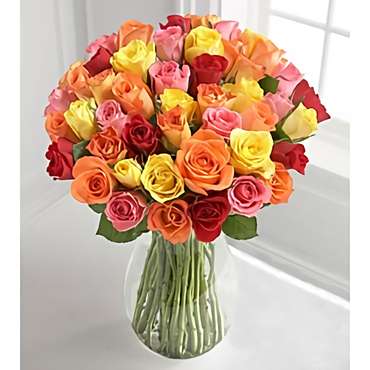 Multicolor of Roses