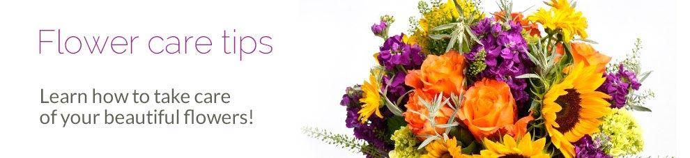Flowers care